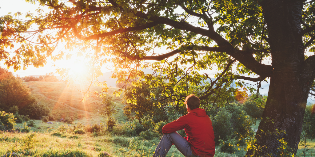 7 2 The Morning Sunlight Protocol on Hack Your Health