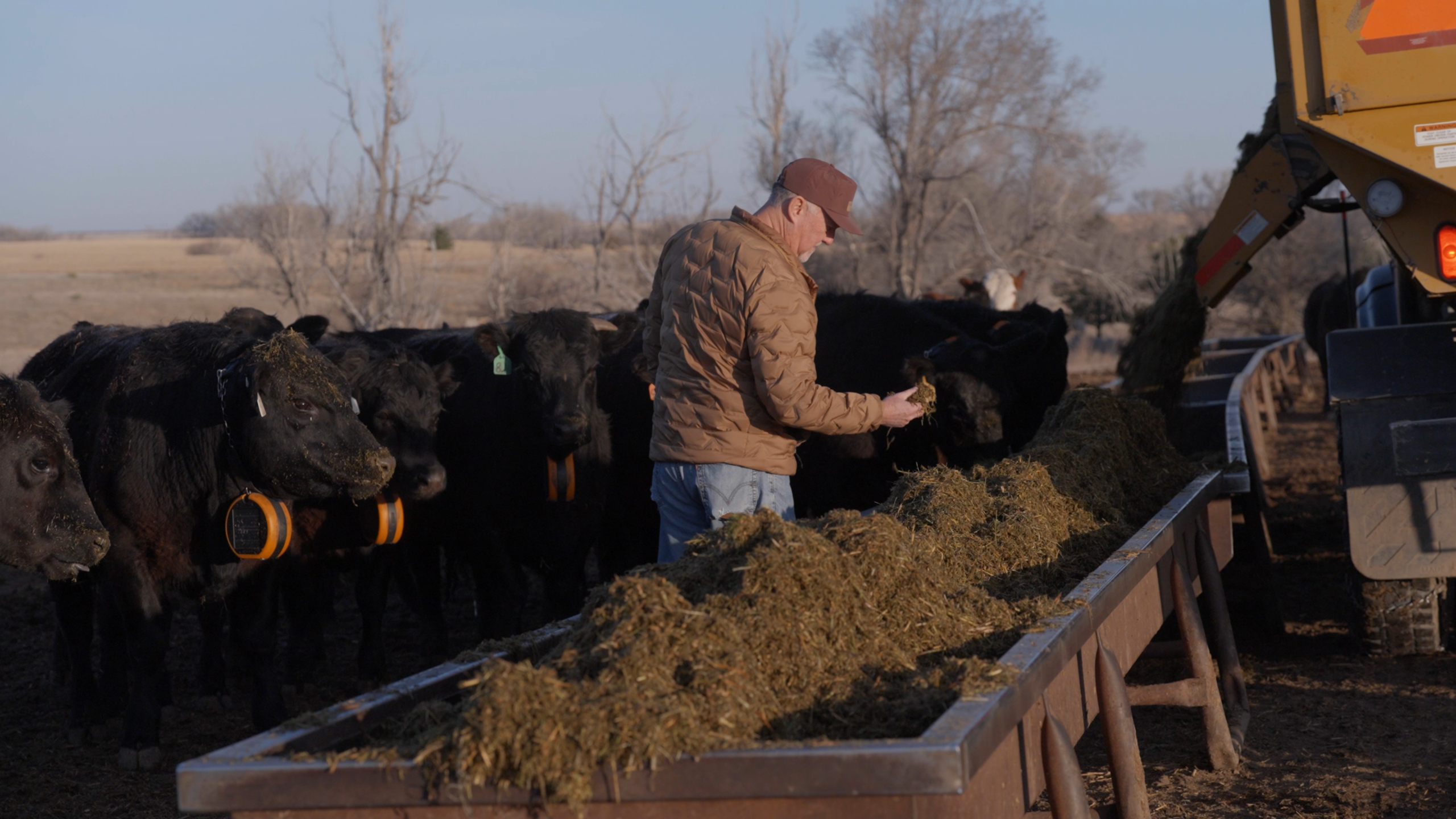 forage lineup scaled on Hack Your Health