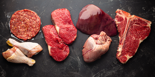 Meat Based Diet on Hack Your Health